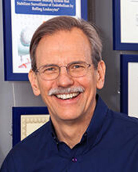 springer-profile_1.jpg